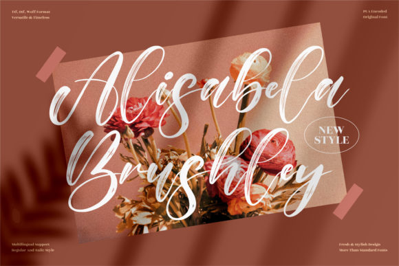Alisabela Brushley Font for Web Design