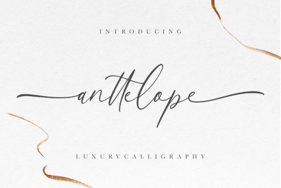 Anttelope: A Luxurious Script Font