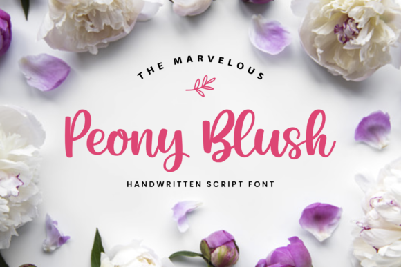 Peony Blush Font for Web Design