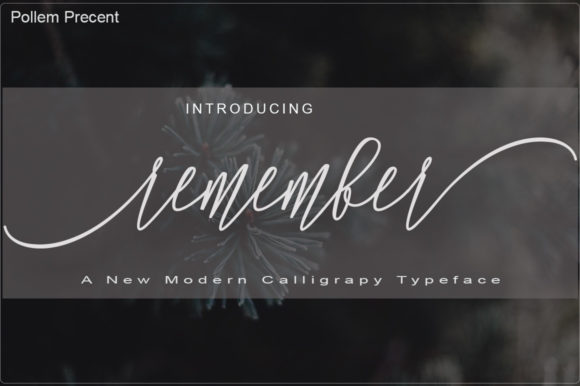 Remember: A Beautiful Script Font