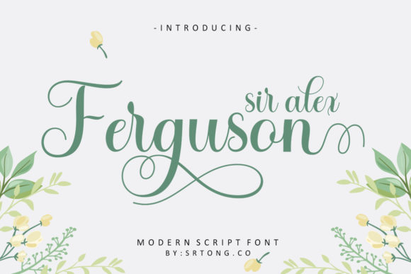 Sir Alex Ferguson Font: A Romantic Script for Designers