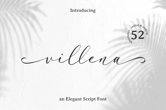 Villena: A Magical Script Font for Business